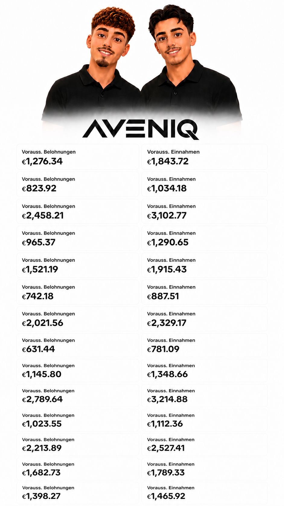 AVENIQ Earnings Screenshot